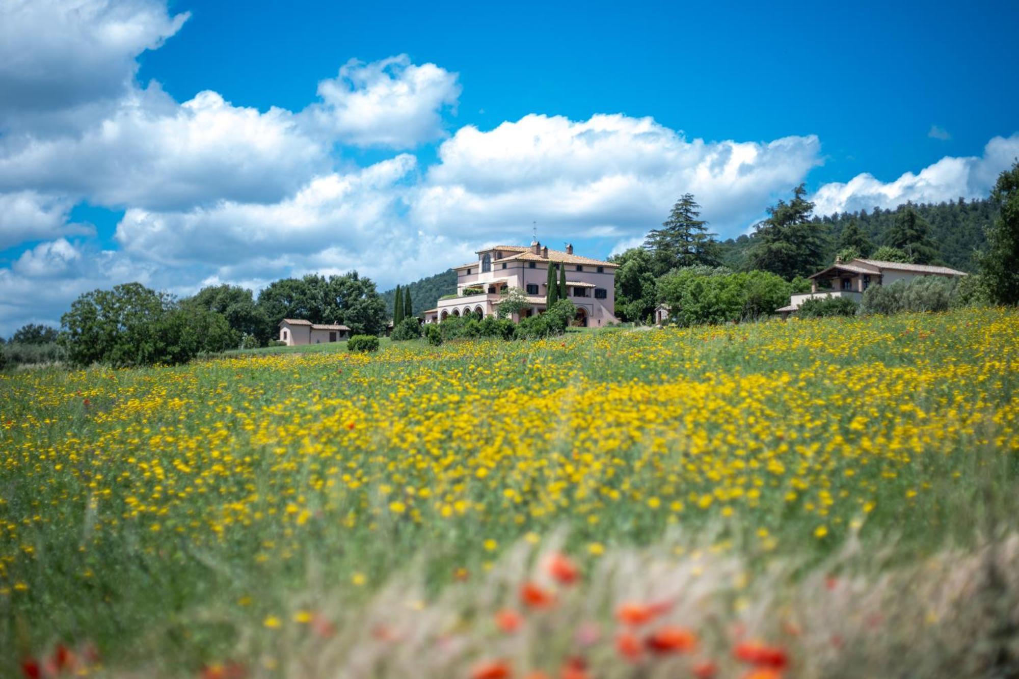 Agri Relais Il Poderaccio Di Больсена Экстерьер фото