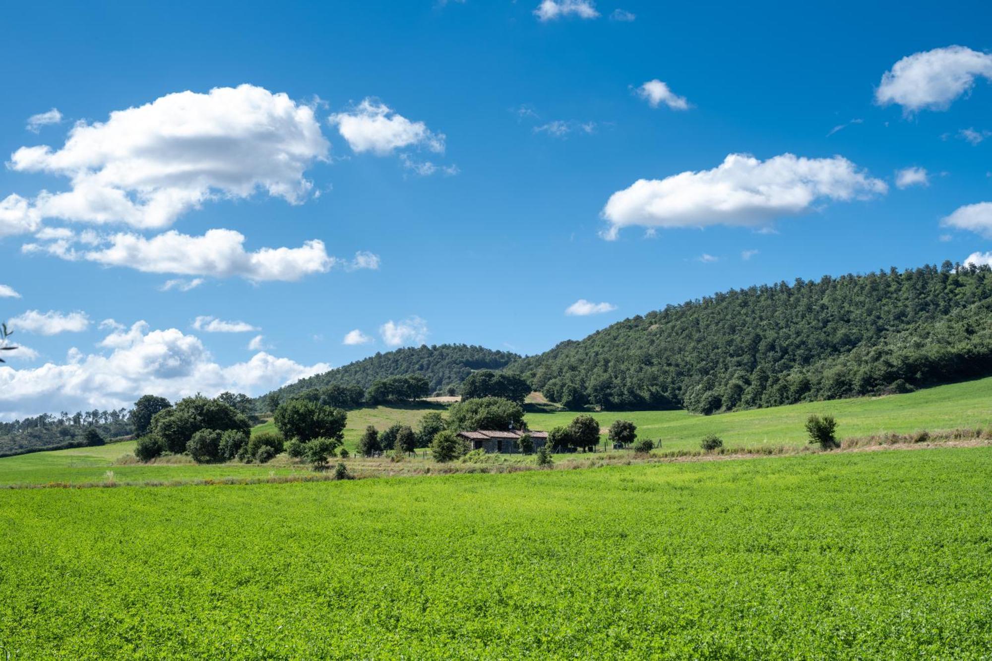 Agri Relais Il Poderaccio Di Больсена Экстерьер фото