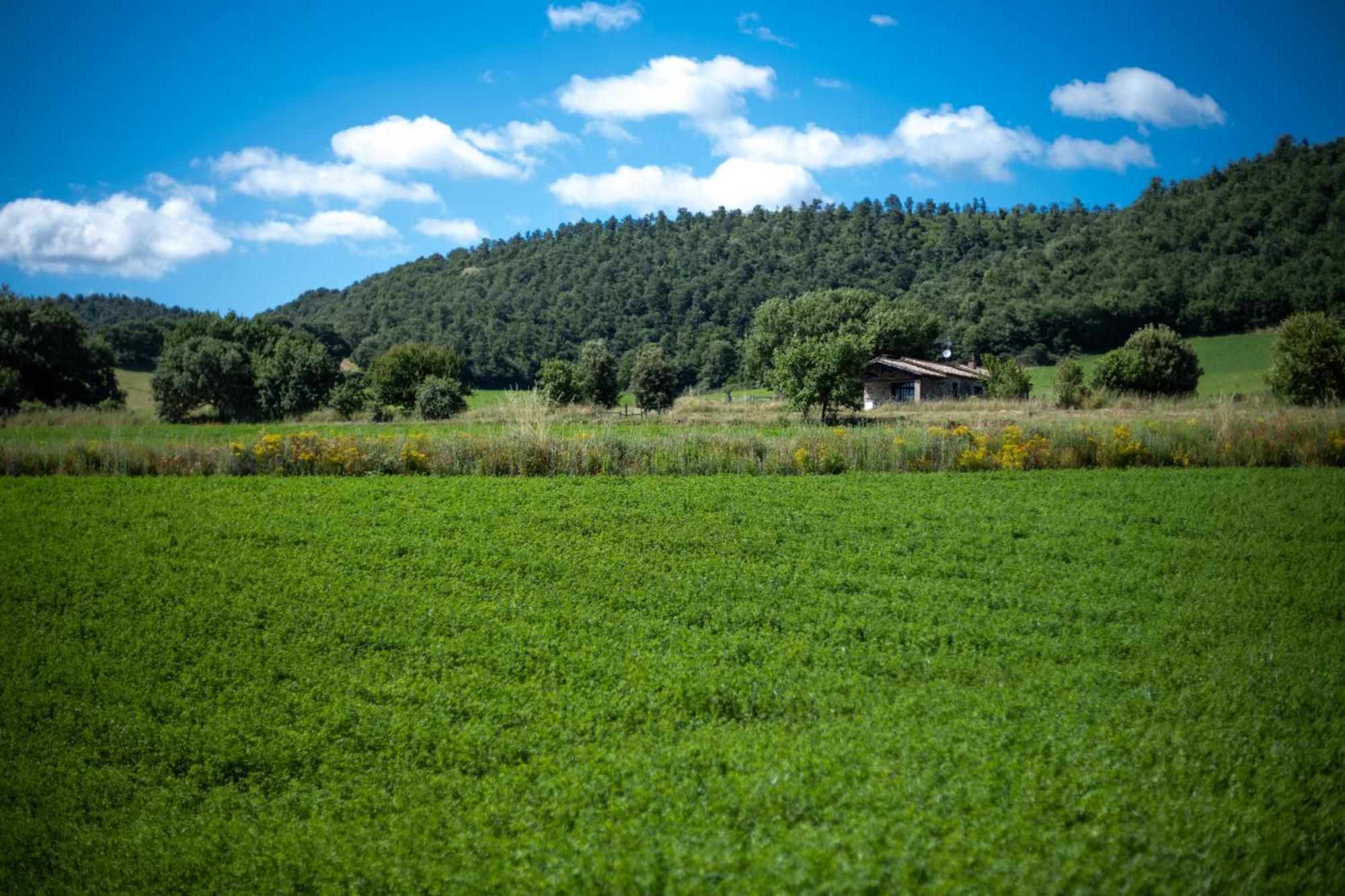 Agri Relais Il Poderaccio Di Больсена Экстерьер фото