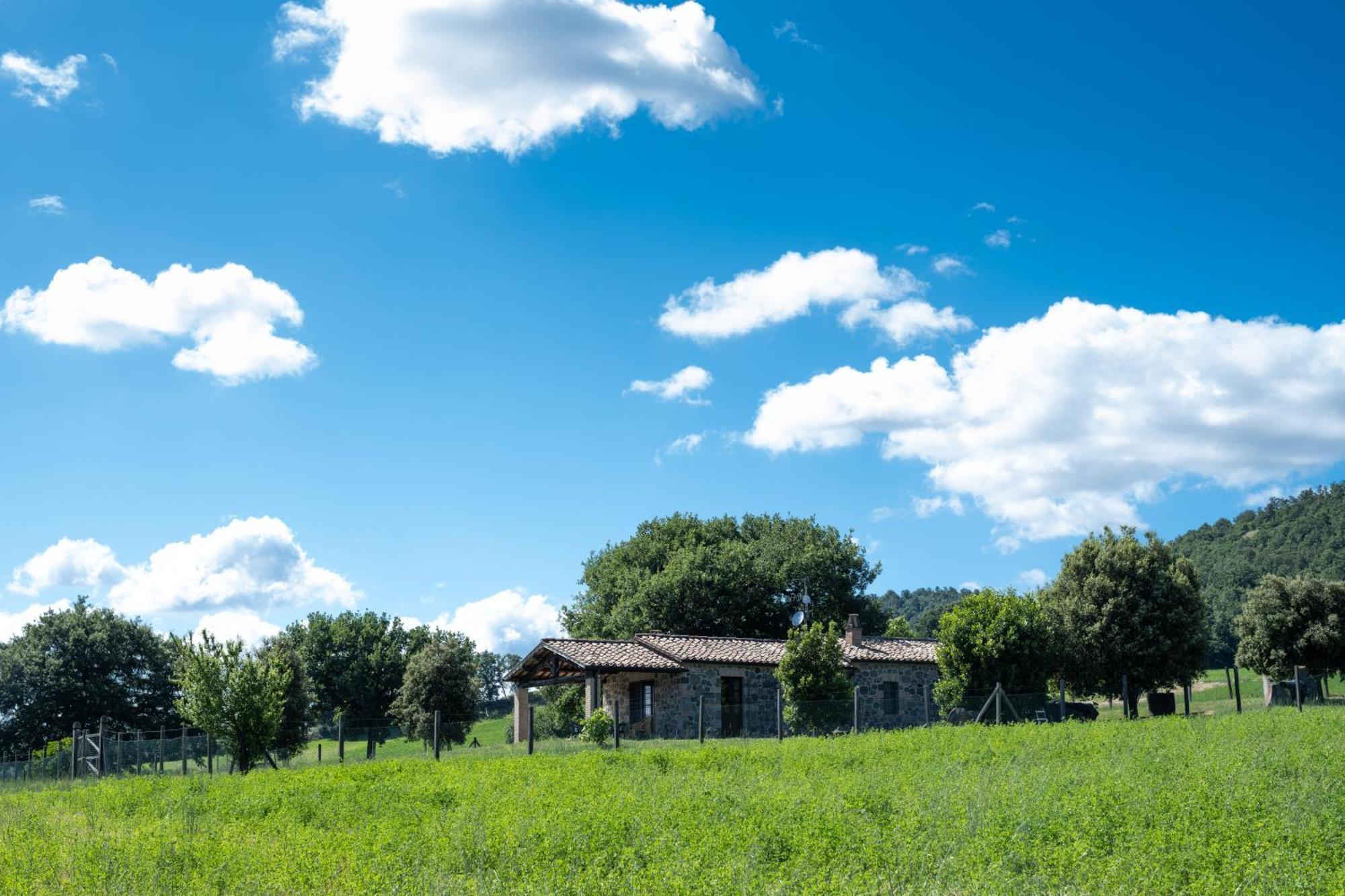 Agri Relais Il Poderaccio Di Больсена Экстерьер фото