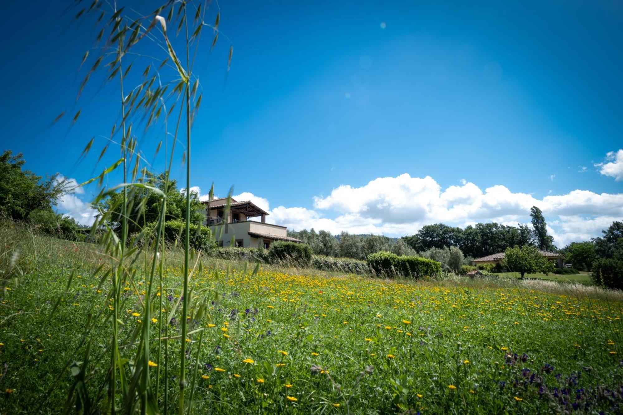 Agri Relais Il Poderaccio Di Больсена Экстерьер фото