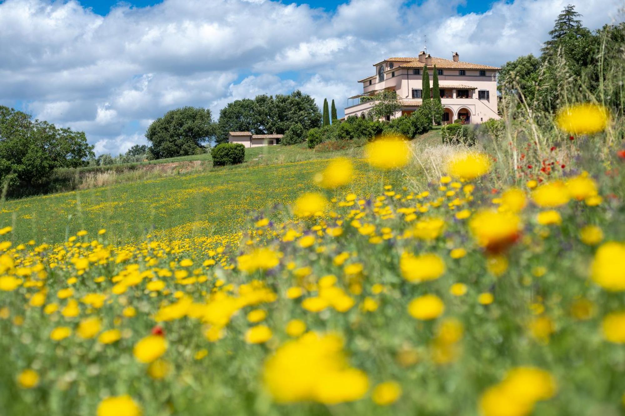 Agri Relais Il Poderaccio Di Больсена Экстерьер фото