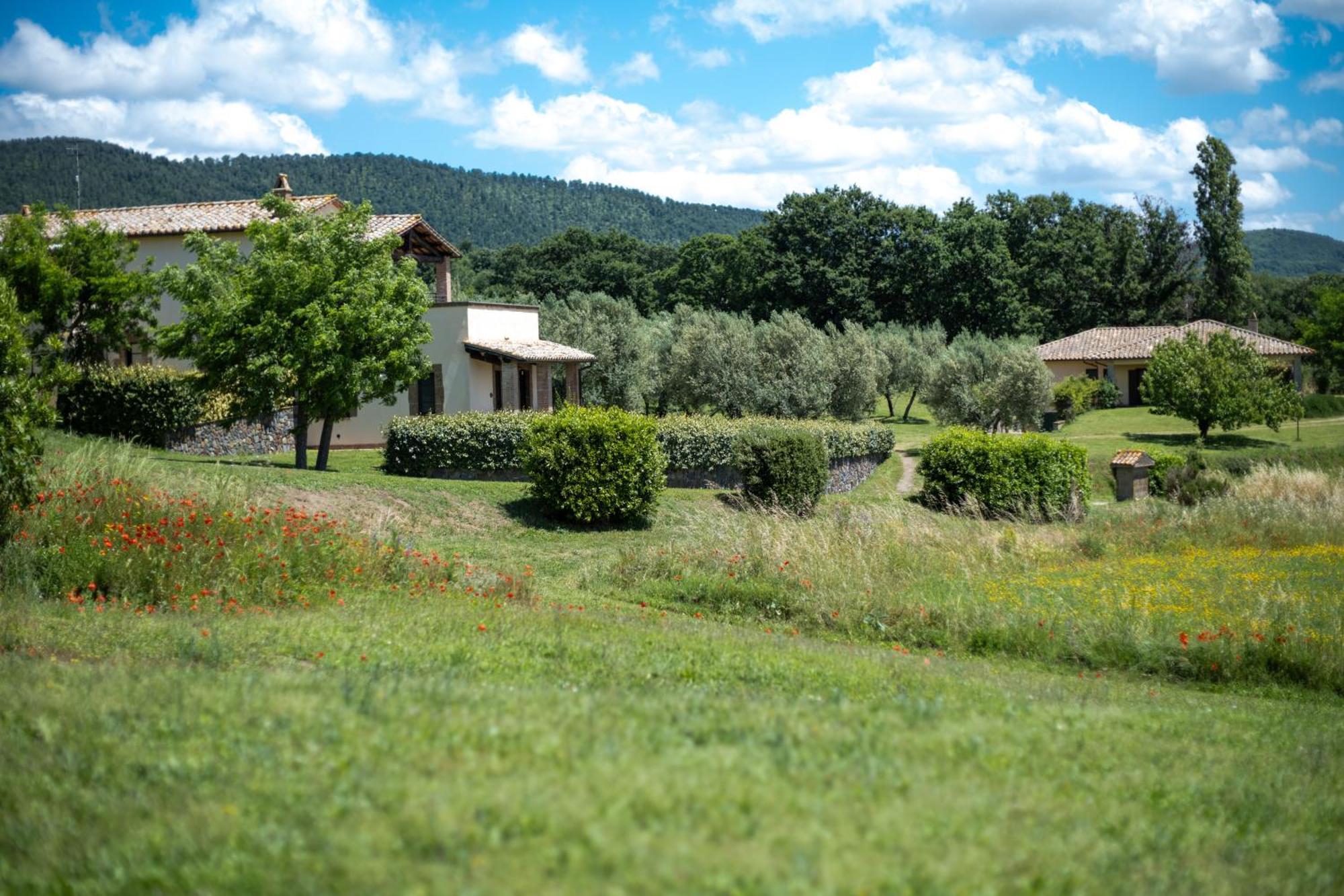 Agri Relais Il Poderaccio Di Больсена Экстерьер фото