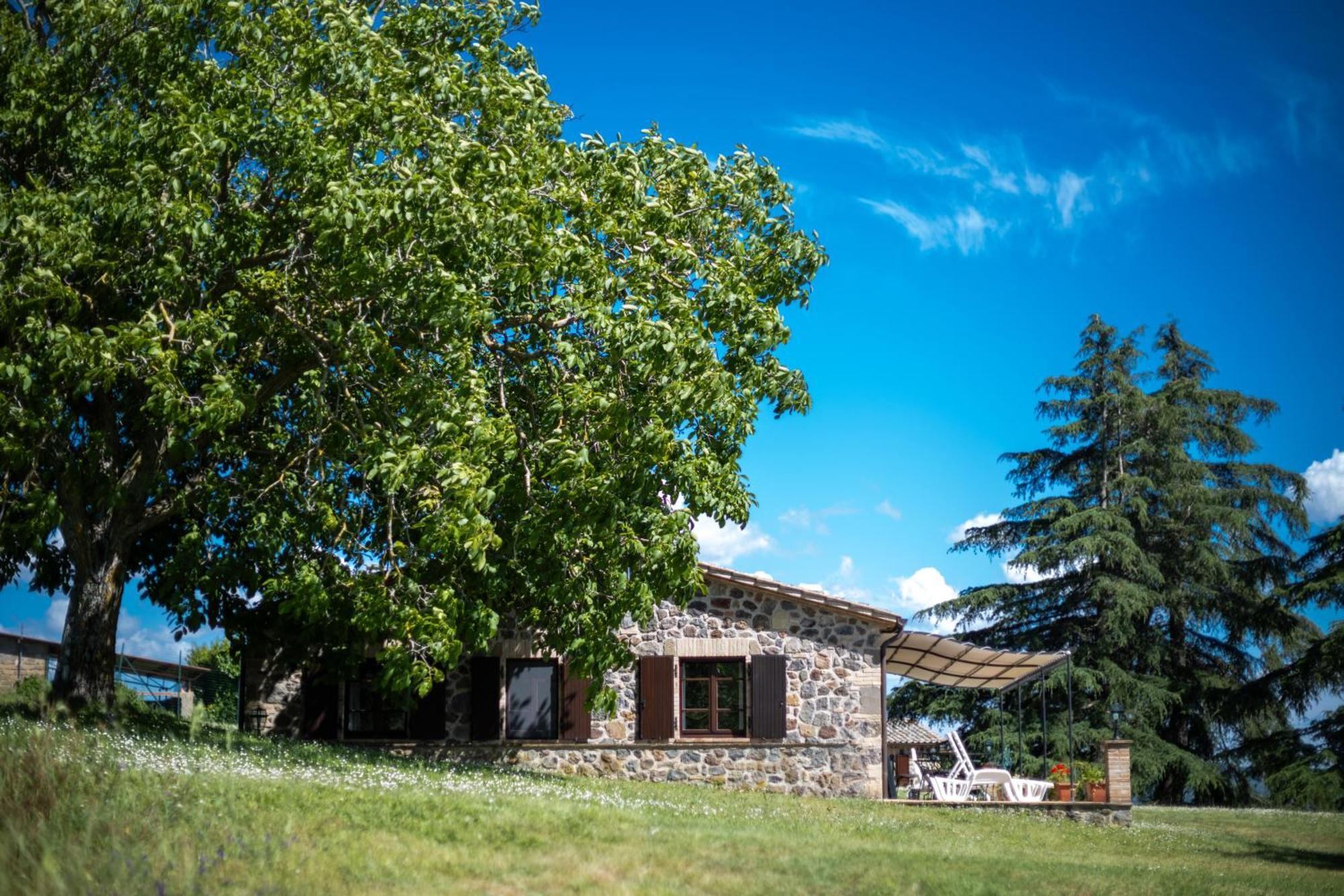 Agri Relais Il Poderaccio Di Больсена Экстерьер фото